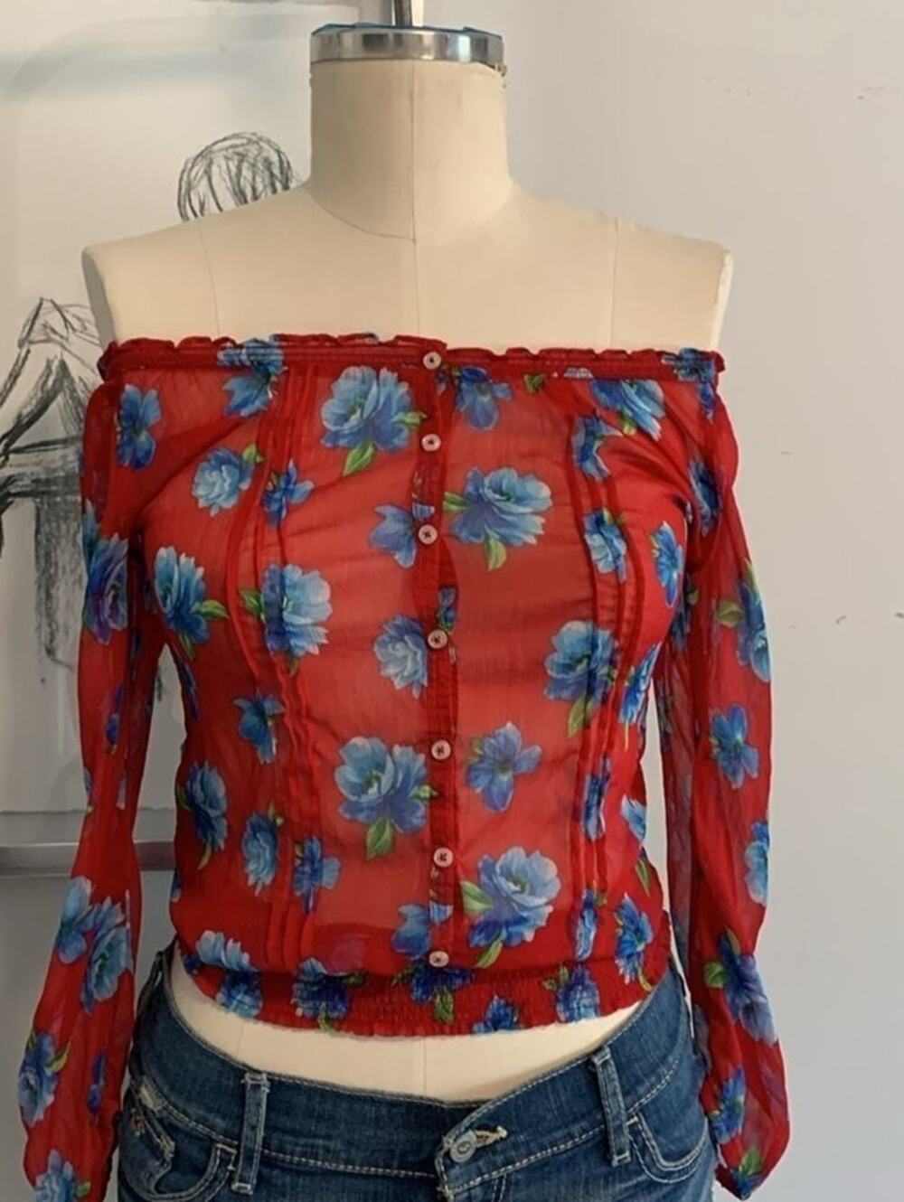 Hollister Sheer Floral Top Red Blue Peasant Fairy Boho XS Button